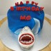 Beach Shark cake (D,V)